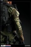 Stalker View 6