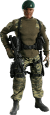Stalker View 22
