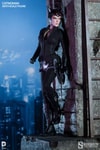 Catwoman Collector Edition 