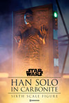 Han Solo in Carbonite