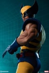 Wolverine Collector Edition View 3