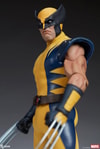 Wolverine (Astonishing Version) View 10