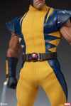 Wolverine (Astonishing Version) View 2