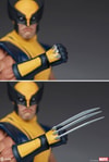 Wolverine (Astonishing Version) View 6