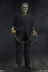 Frankenstein (Deluxe Edition) (Prototype Shown) View 8