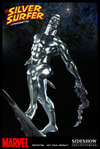 Silver Surfer View 5