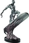 Silver Surfer View 6