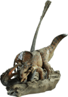 Protoceratops VS Velociraptor View 15