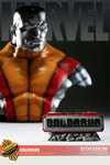 Colossus View 2