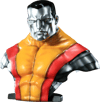 Colossus View 13