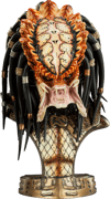 Predator 2 (Prototype Shown) View 7
