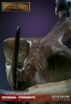 Tupuxuara - Pterodactyl View 13