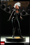 Women of Marvel: Storm Collector Edition View 1