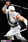 Storm Shadow Collector Edition View 2