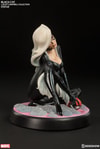 Black Cat Collector Edition - Prototype Shown