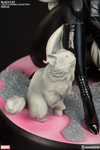 Black Cat Exclusive Edition - Prototype Shown