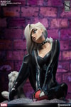 Black Cat Exclusive Edition - Prototype Shown