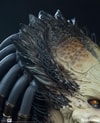 Wolf Predator Exclusive Edition View 2