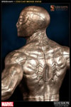 Spider-Man (Prototype Shown) View 5
