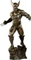 Wolverine View 11
