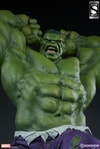 Hulk Exclusive Edition View 2