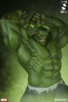 Hulk Exclusive Edition View 5