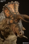Triceratops Collector Edition View 9