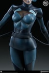 Catwoman Exclusive Edition 