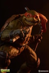 Michelangelo Collector Edition View 15