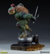 Raphael Collector Edition View 27