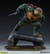 Raphael Collector Edition View 21