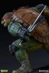 Raphael Collector Edition View 14