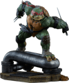 Raphael Collector Edition View 31
