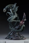 Alien Warrior View 5
