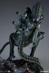 Alien Warrior View 14