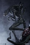 Alien Warrior View 23