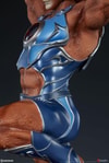 Lion-O