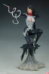 Silk Collector Edition View 5