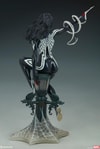 Silk Collector Edition View 7