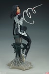 Silk Collector Edition View 9