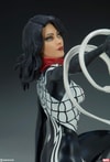 Silk Collector Edition View 11