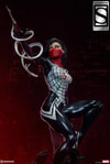 Silk Exclusive Edition View 5