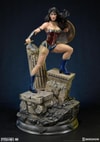 Wonder Woman Collector Edition (Prototype Shown) View 2