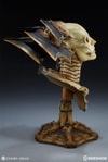 Xiall The Resolve of Bone