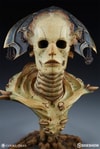 Xiall The Resolve of Bone