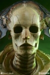 Xiall The Resolve of Bone