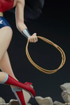 Wonder Woman Collector Edition View 18