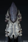 The Aspects of Death Mask View 15