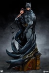 Batman and Catwoman View 7