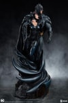Batman and Catwoman View 8